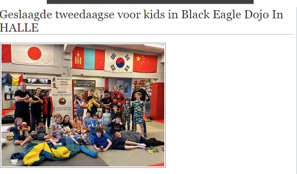Geslaagde tweedaagse voor kids in Black Eagle Dojo In HALLE