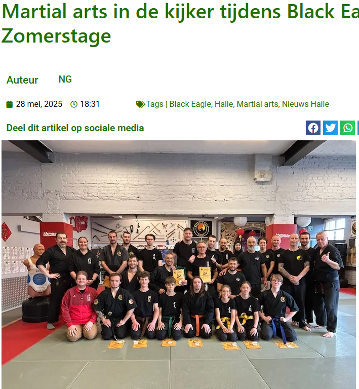 Martial arts in de kijker tijdens Black Eagle Zomerstage