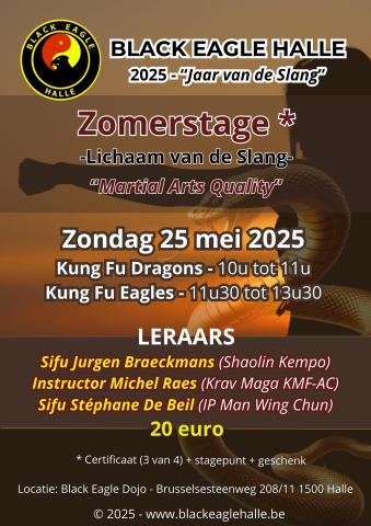 Zomerstage 2025 Kung Fu Eagles "Lichaam van de Slang"