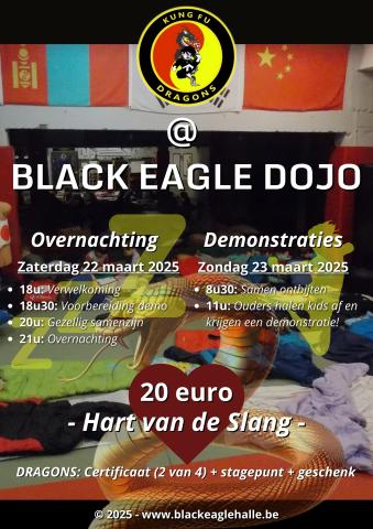 Kung Fu Dragons @ Black Eagle Dojo - Zaterdag 22 en zondag 23 maart 2025
